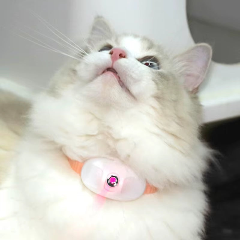 PurrBeam™ Smart Cat Collar – Rechargeable Laser Toy with Auto Motion & Anxiety Relief Play